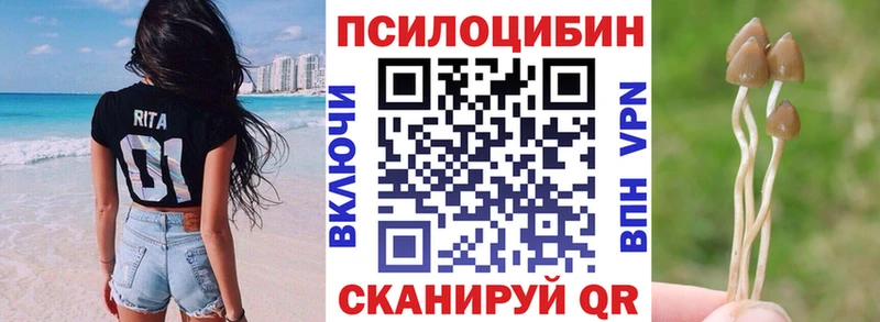 где купить наркотик  Серов  Галлюциногенные грибы GOLDEN TEACHER 